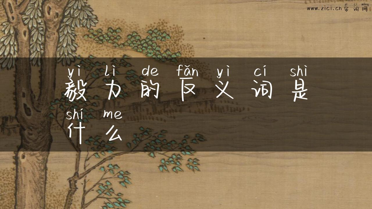 毅力的反义词是什么