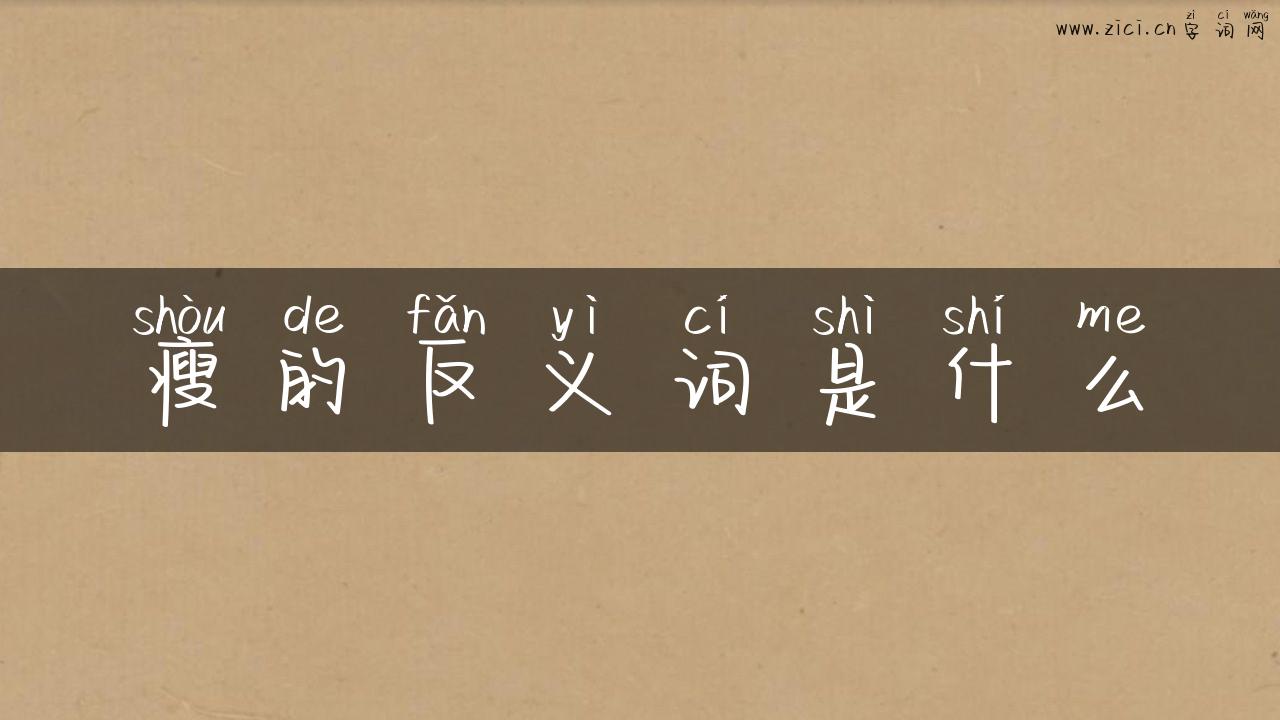 瘦的反义词是什么