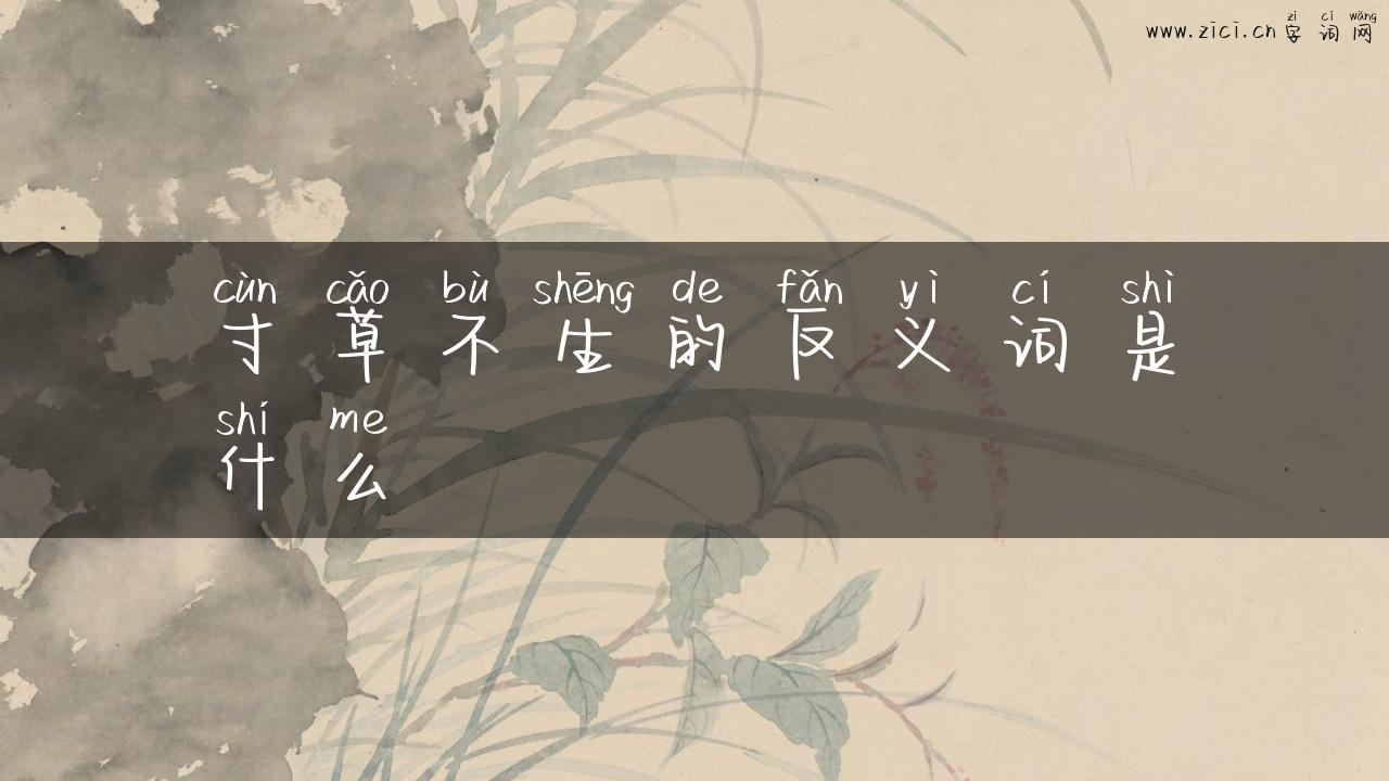 寸草不生的反义词是什么