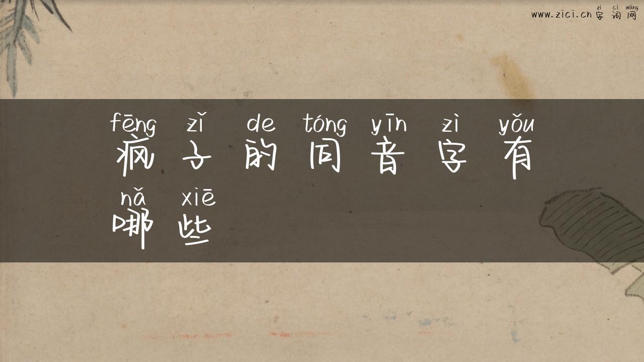 疯子的同音字有哪些
