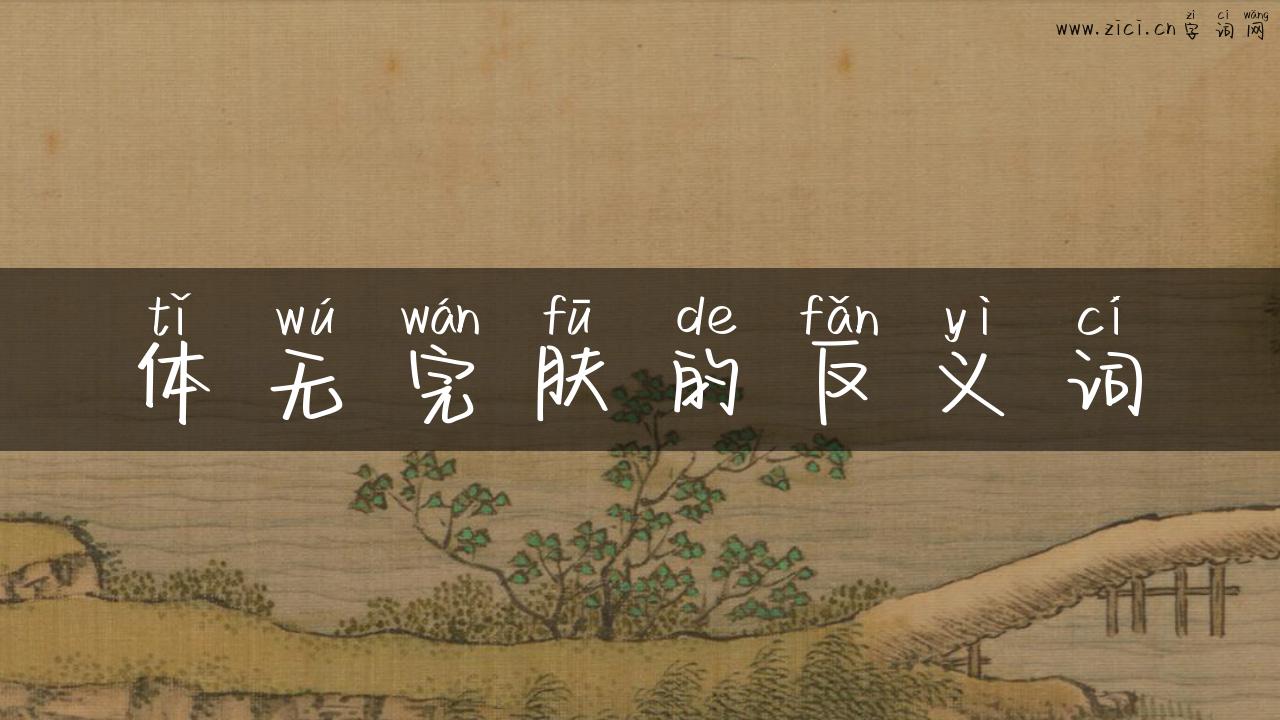 体无完肤的反义词