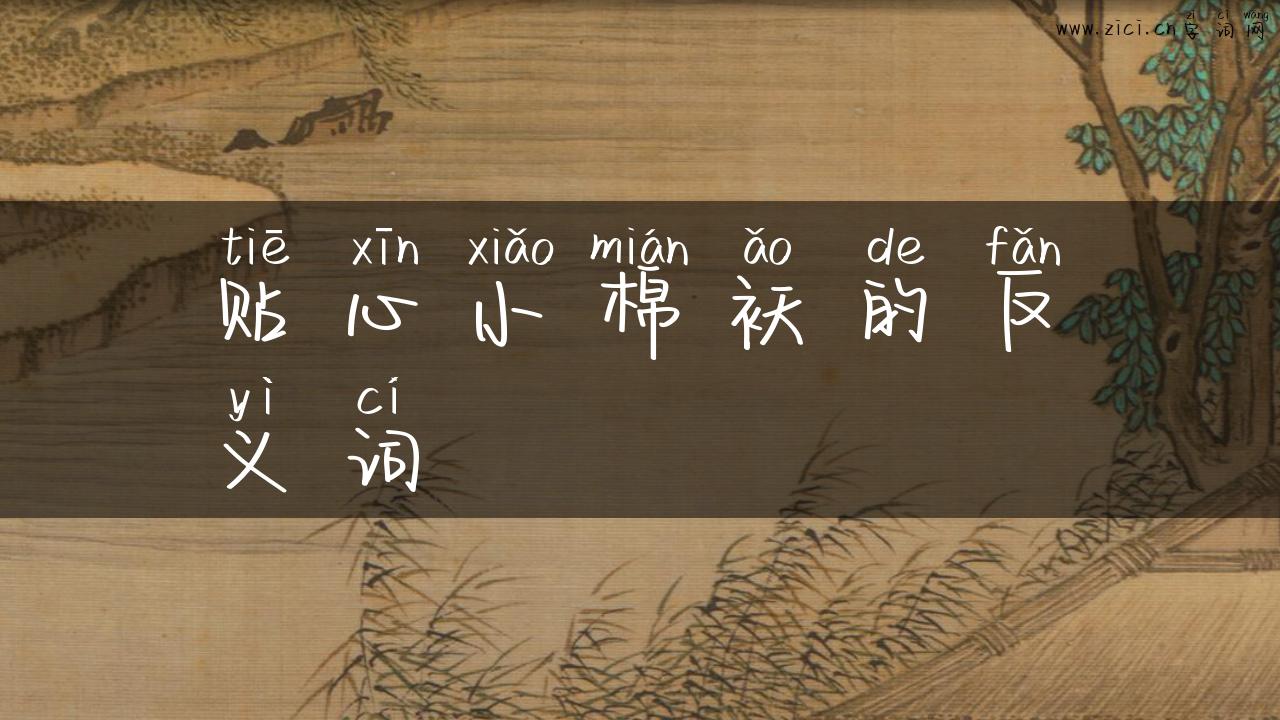 贴心小棉袄的反义词