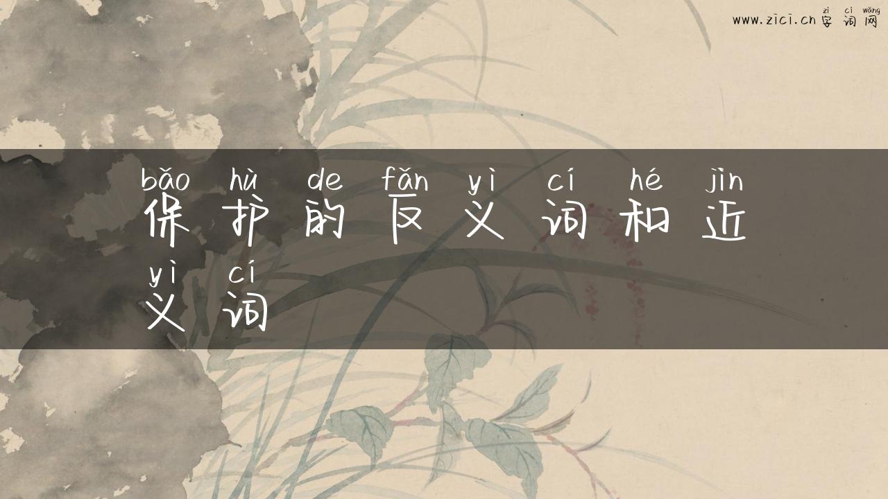 保护的反义词和近义词
