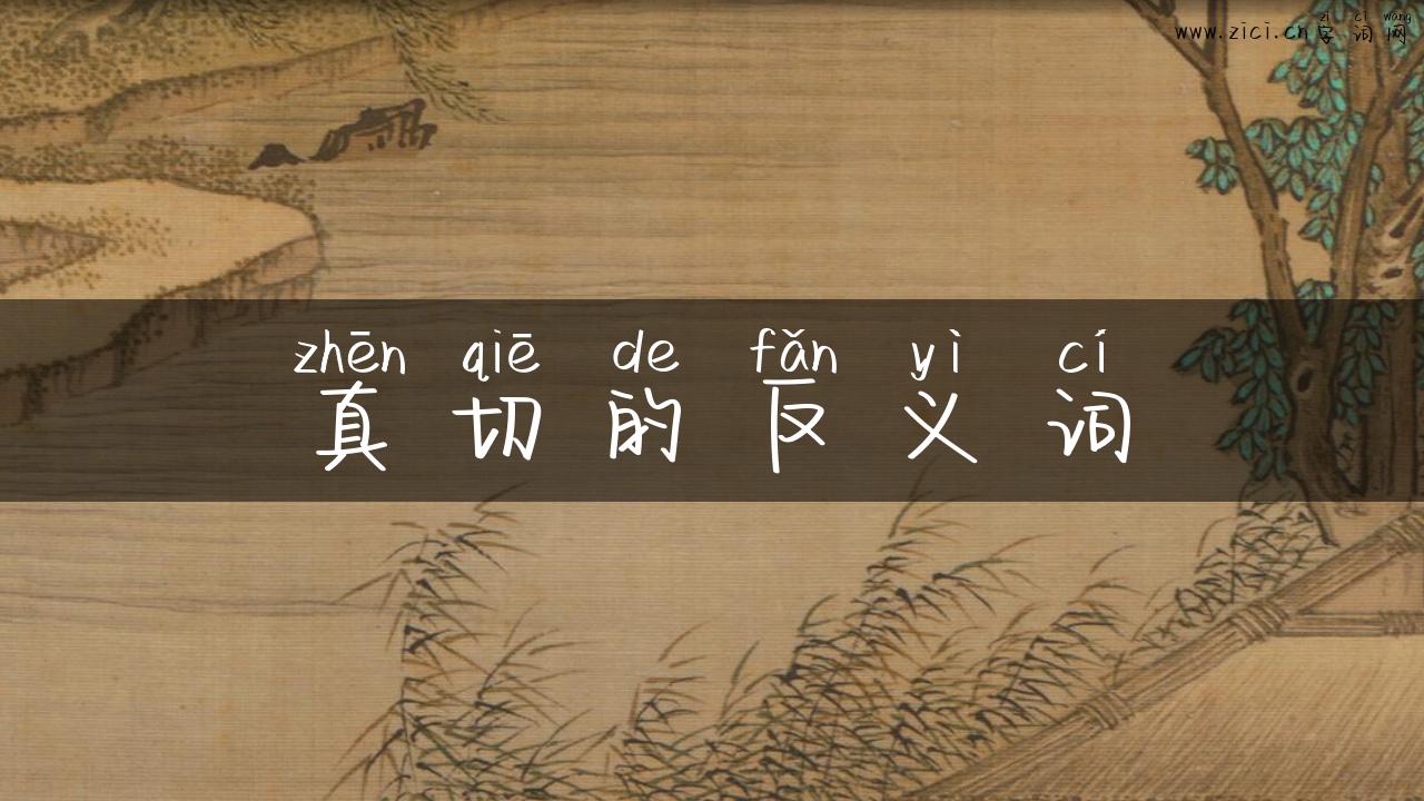 真切的反义词