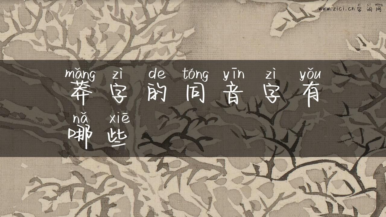 莽字的同音字有哪些