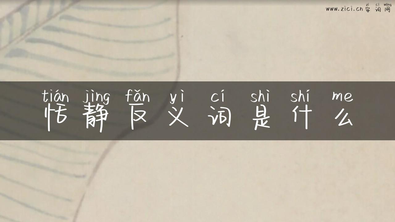 恬静反义词是什么