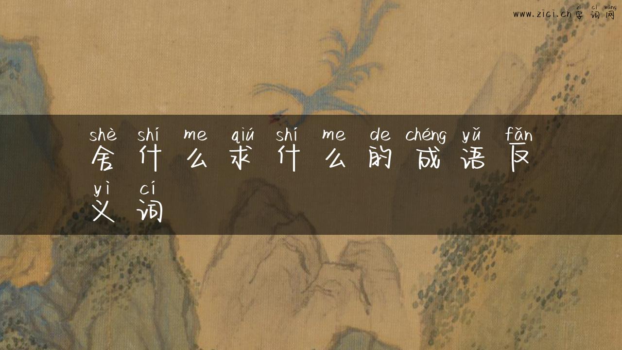 舍什么求什么的成语反义词