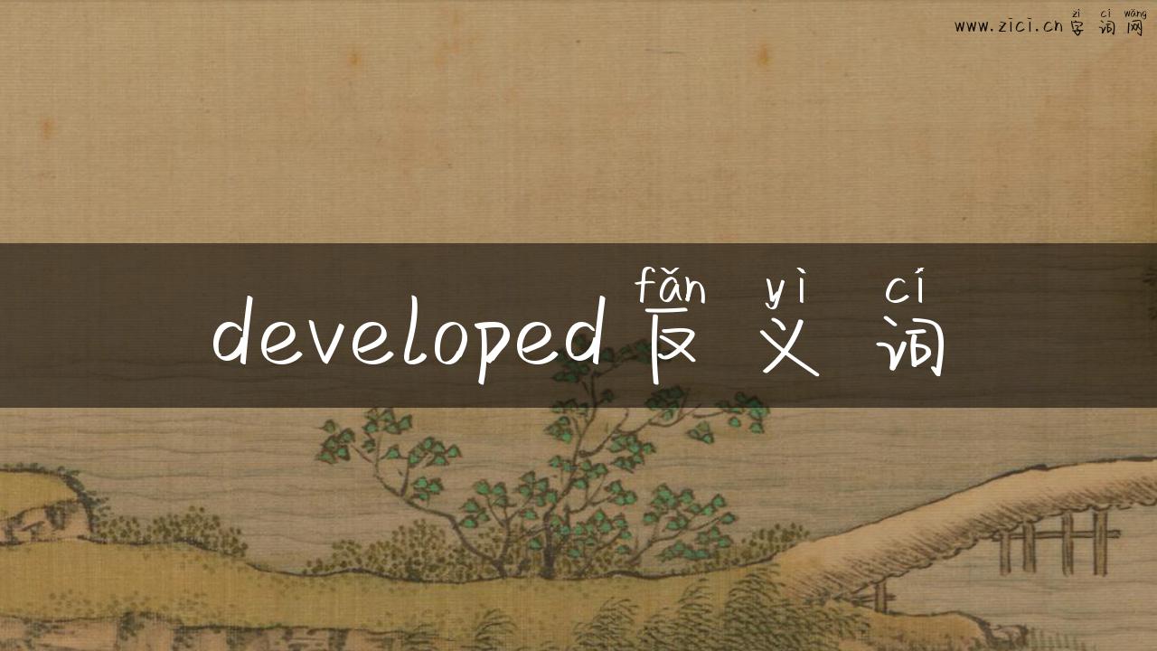 developed反义词