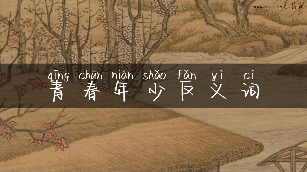 青春年少反义词
