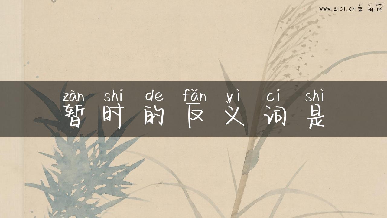 暂时的反义词是