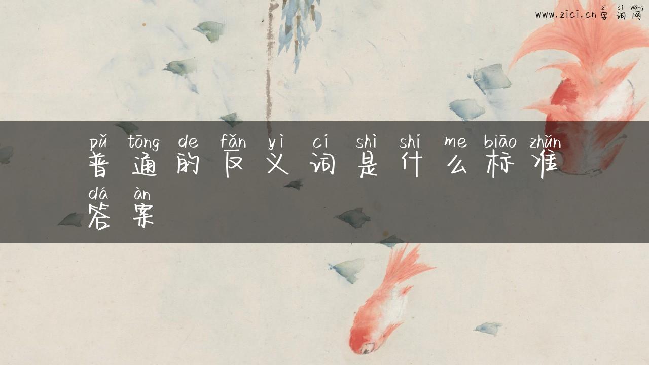 普通的反义词是什么标准答案