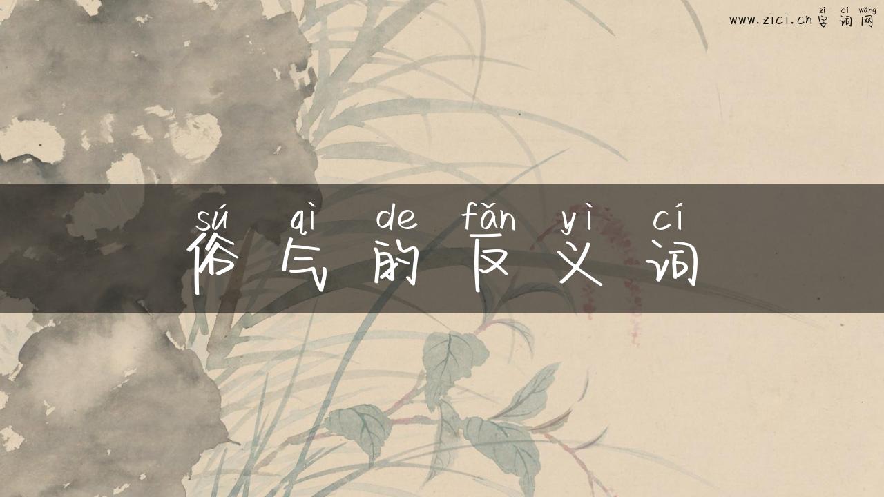 俗气的反义词