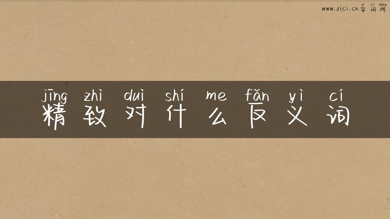 精致对什么反义词