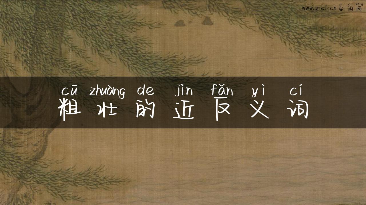 粗壮的近反义词