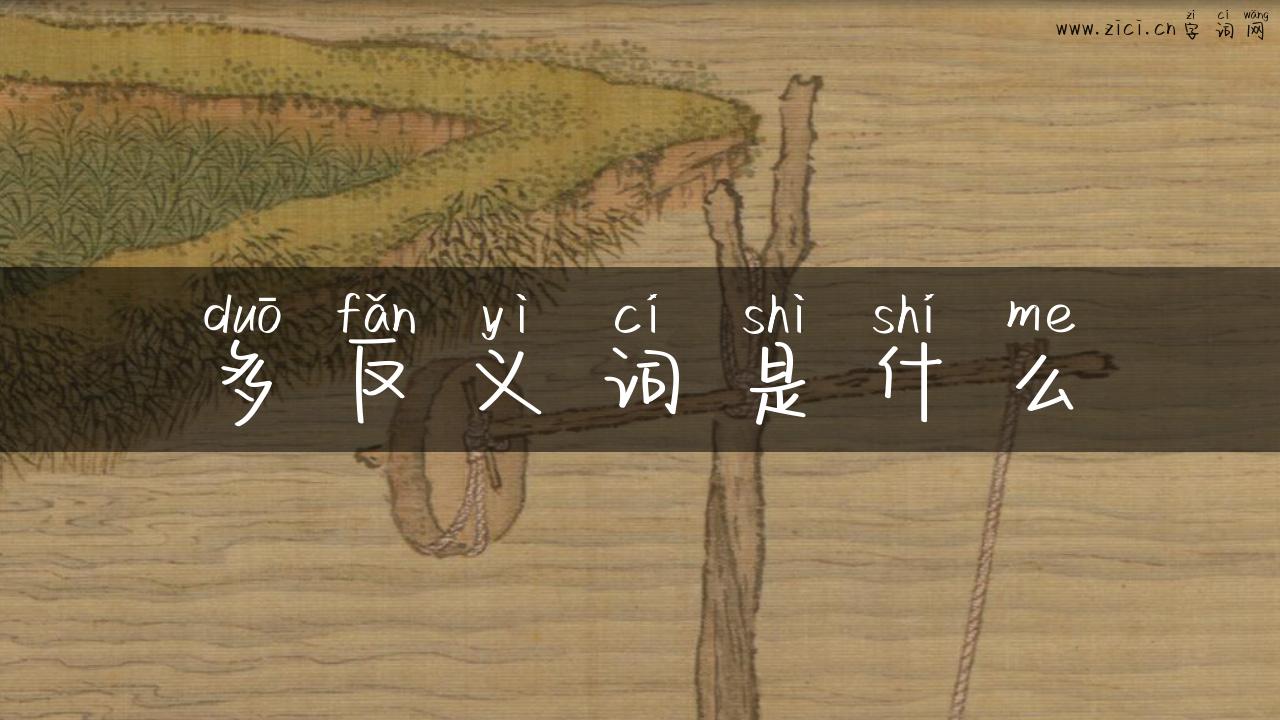 多反义词是什么
