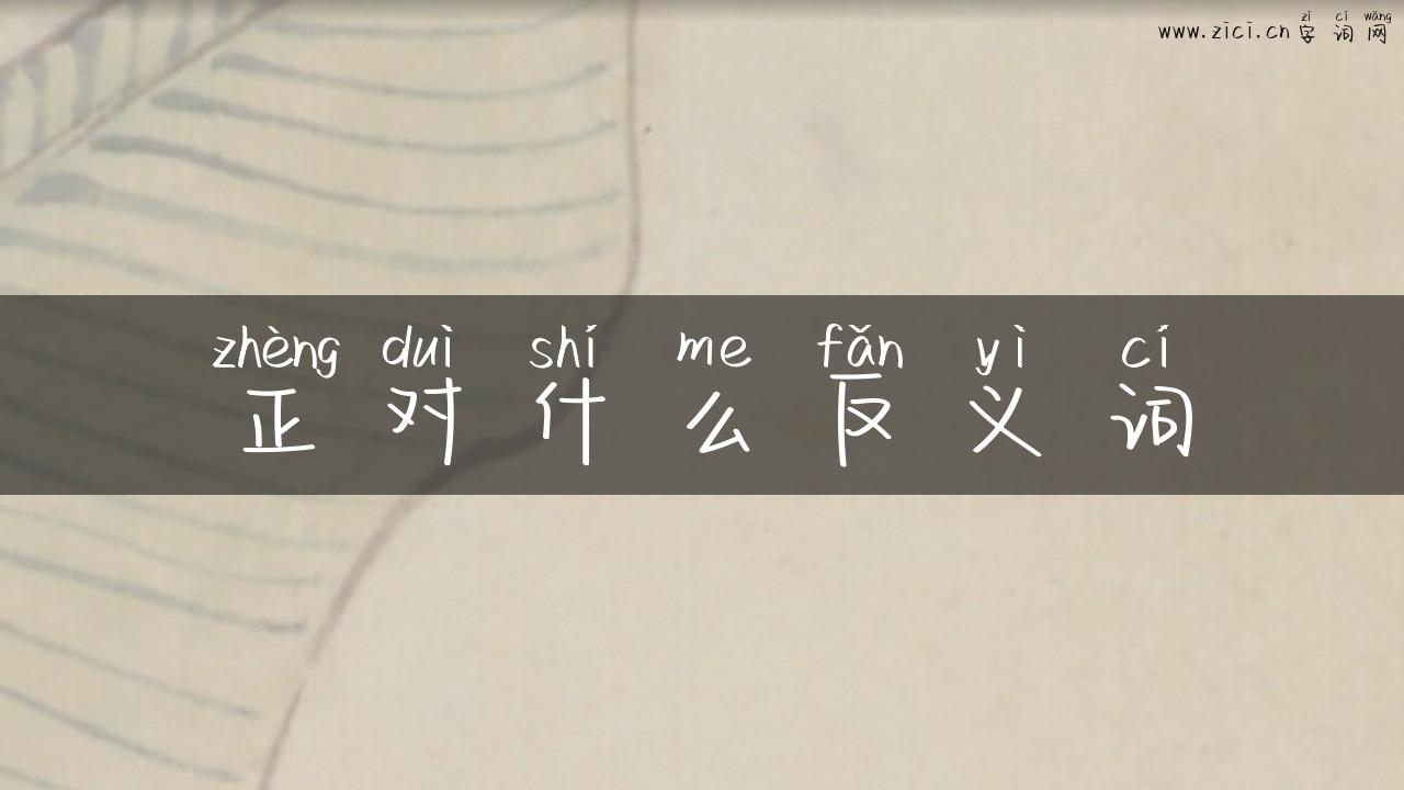 正对什么反义词