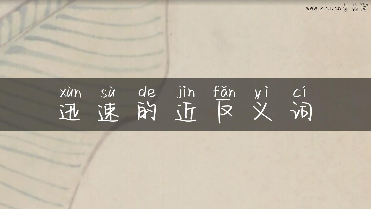 迅速的近反义词