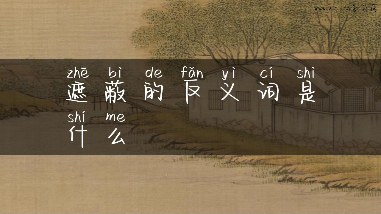 遮蔽的反义词是什么