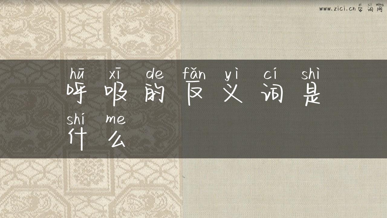 呼吸的反义词是什么