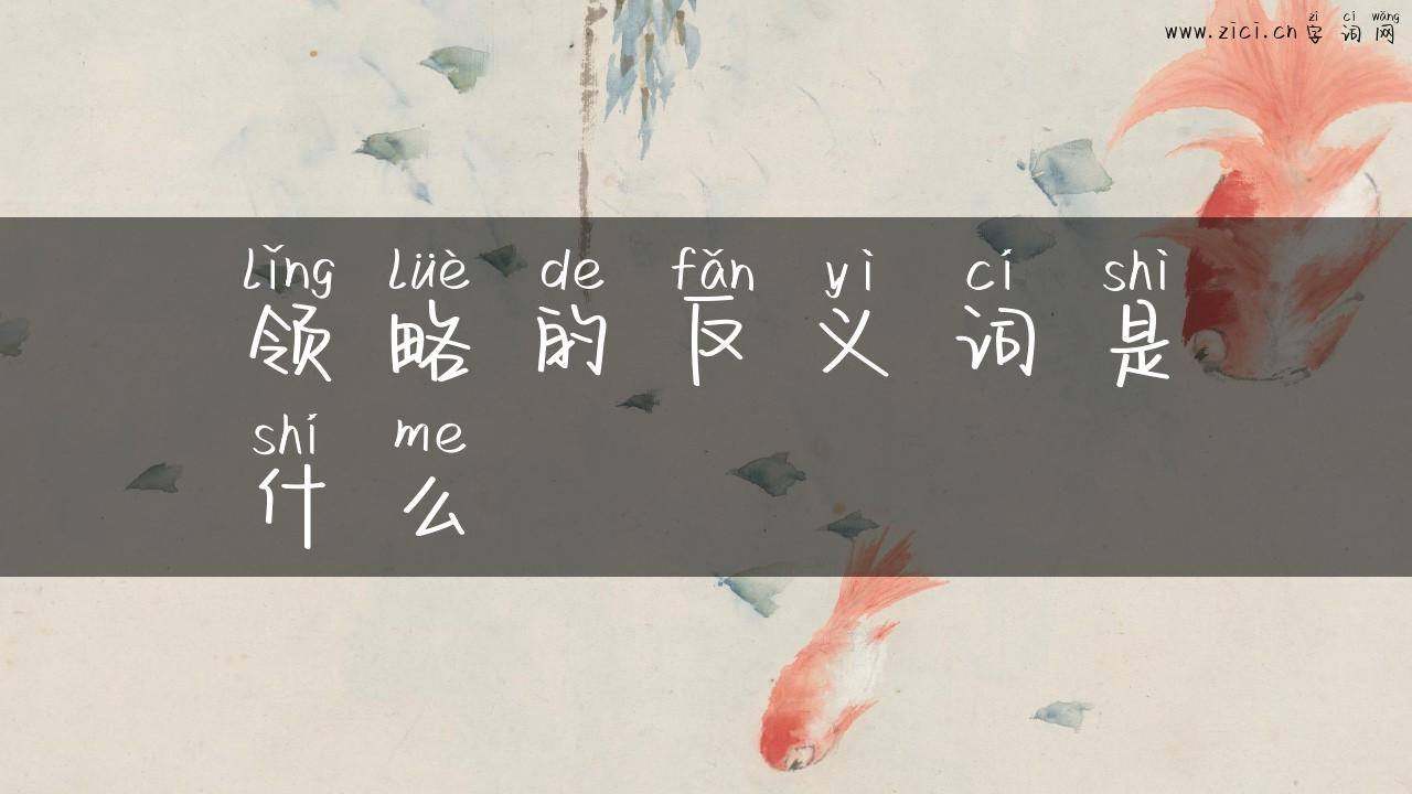 领略的反义词是什么