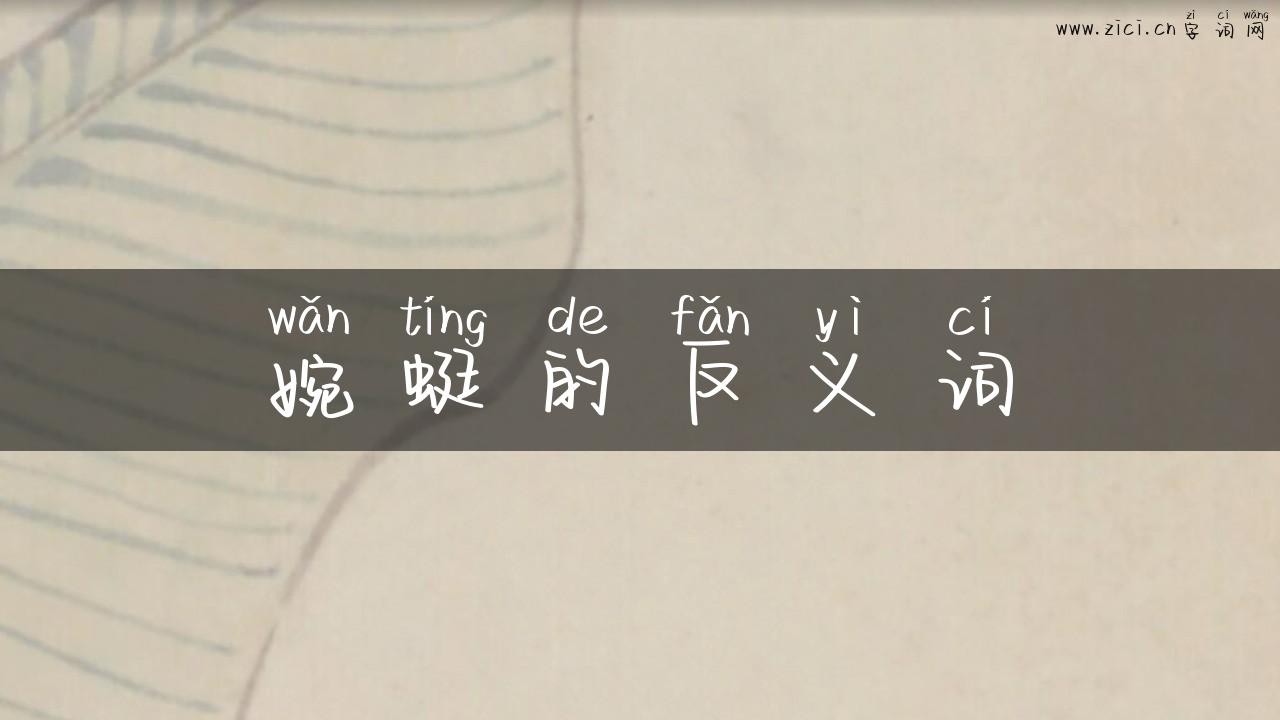 婉蜓的反义词