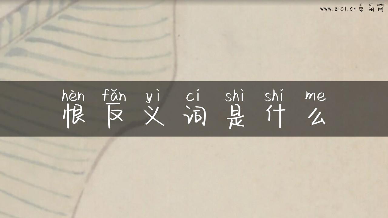 恨反义词是什么