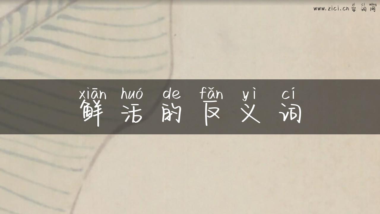 鲜活的反义词