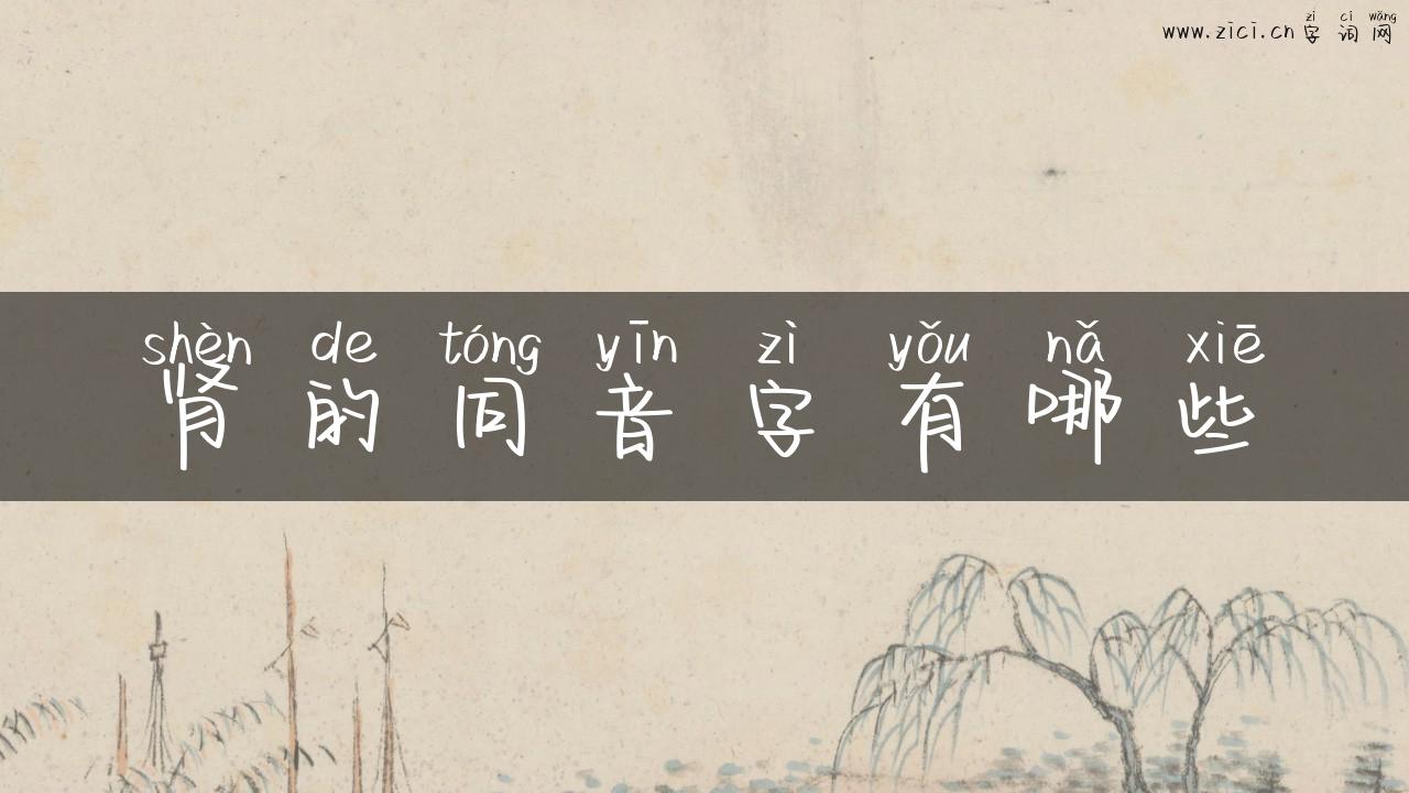 肾的同音字有哪些