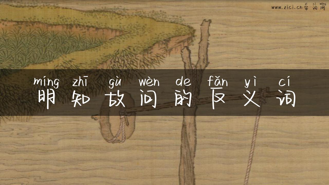 明知故问的反义词