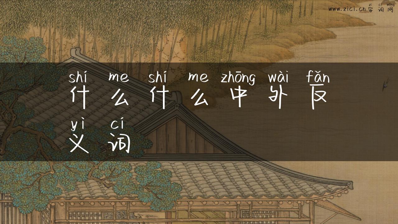 什么什么中外反义词