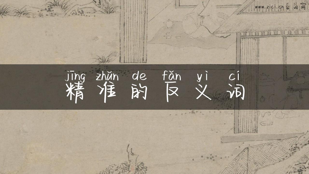 精准的反义词