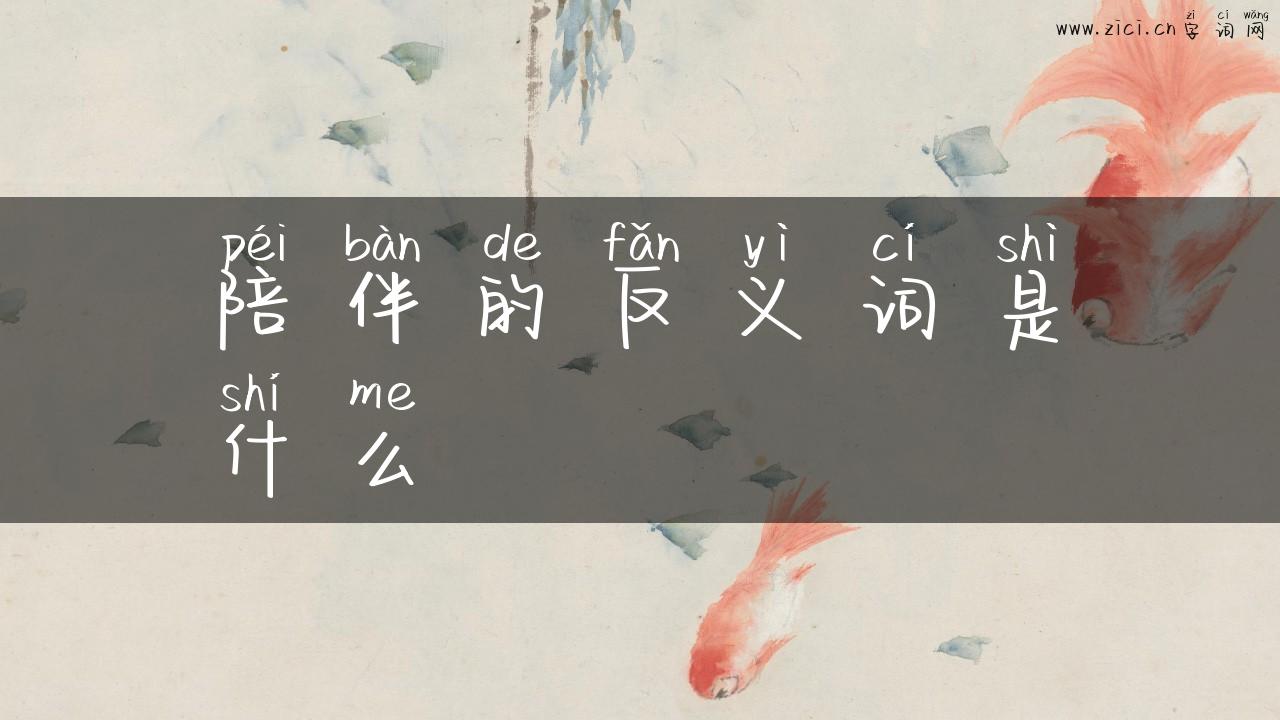 陪伴的反义词是什么