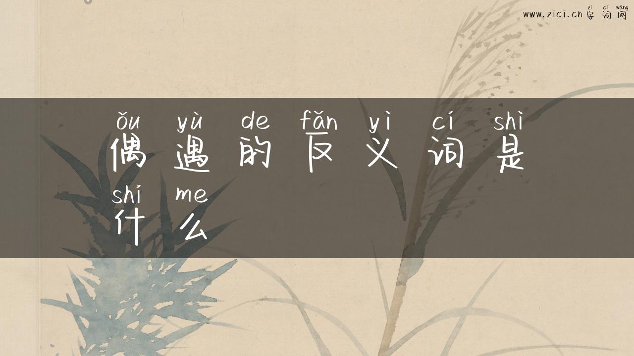 偶遇的反义词是什么