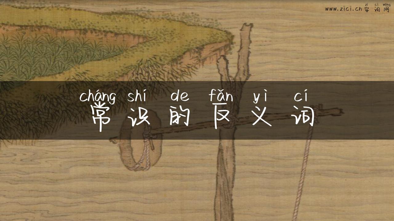 常识的反义词