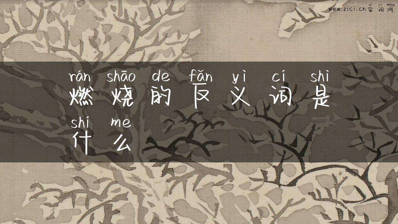 燃烧的反义词是什么