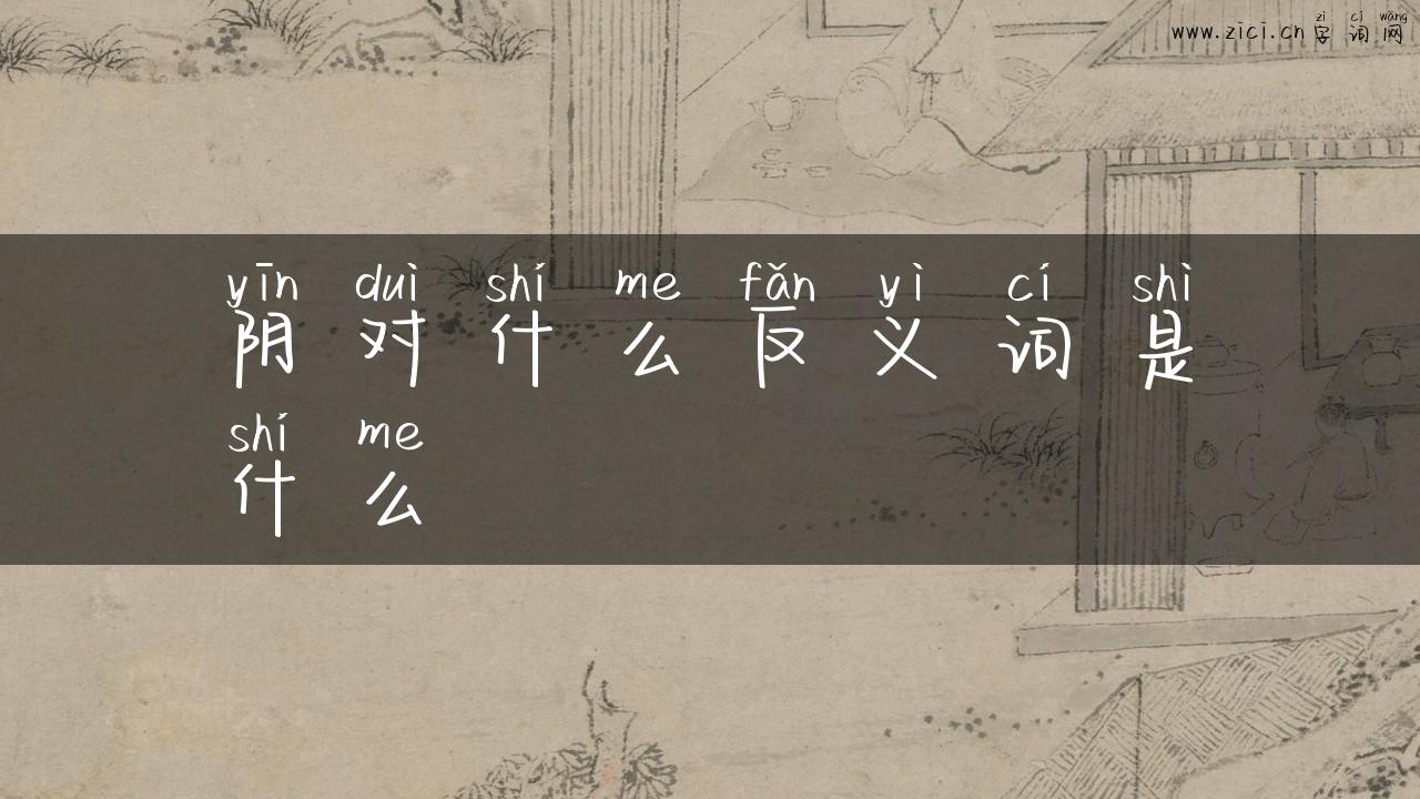 阴对什么反义词是什么