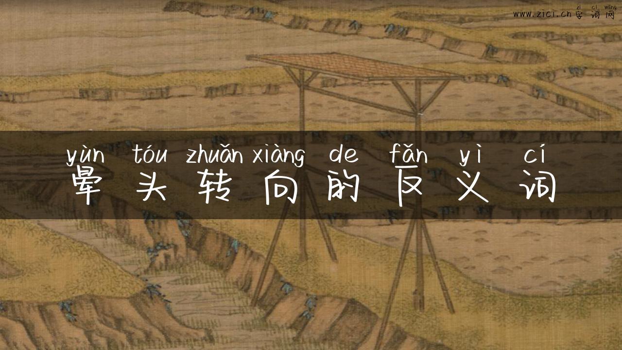 晕头转向的反义词