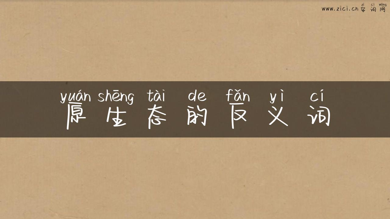 原生态的反义词