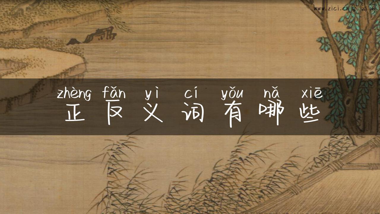 正反义词有哪些