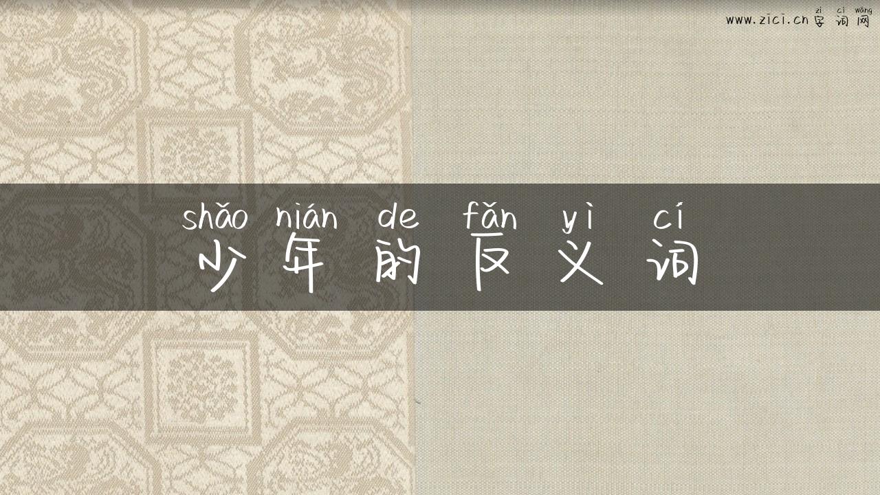少年的反义词