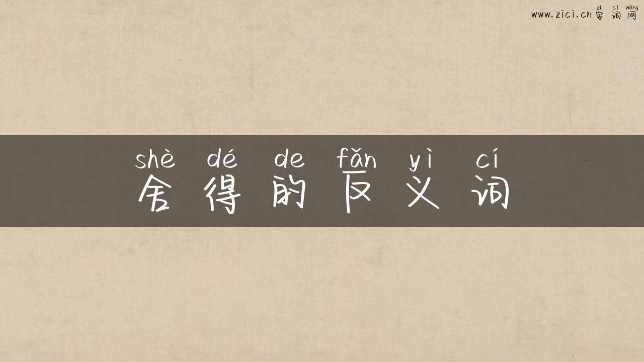 舍得的反义词
