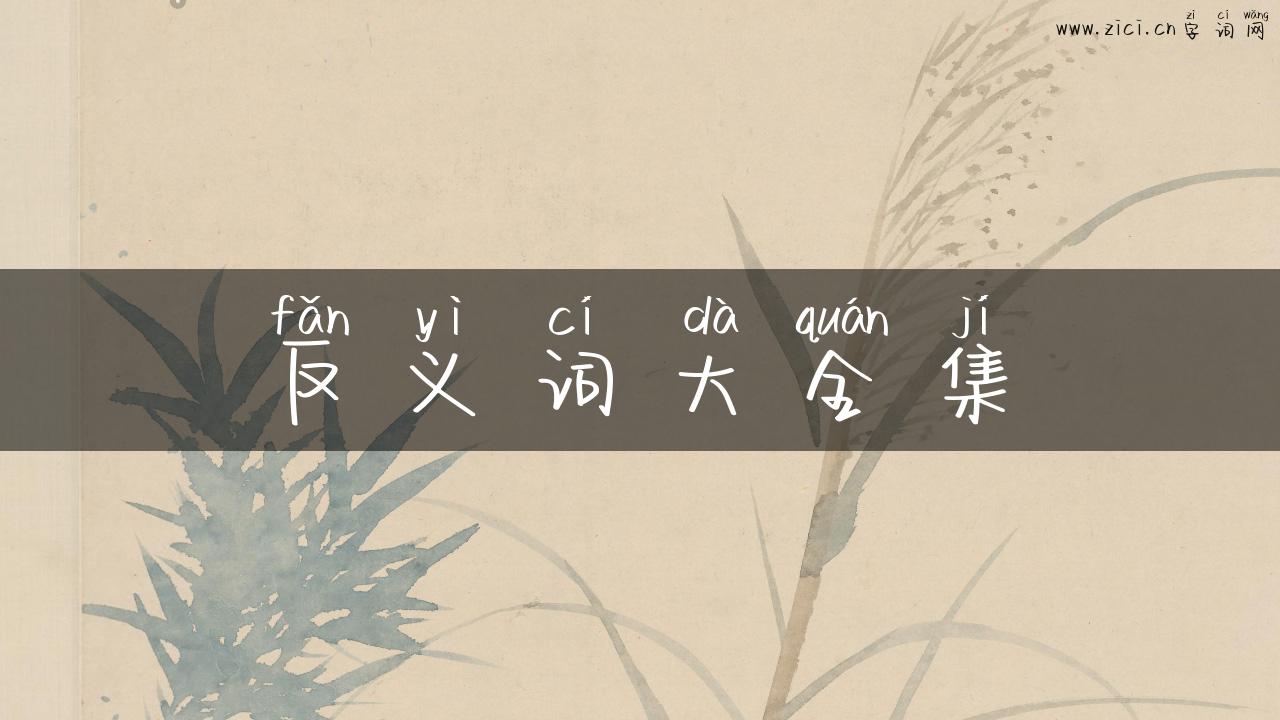 反义词大全集
