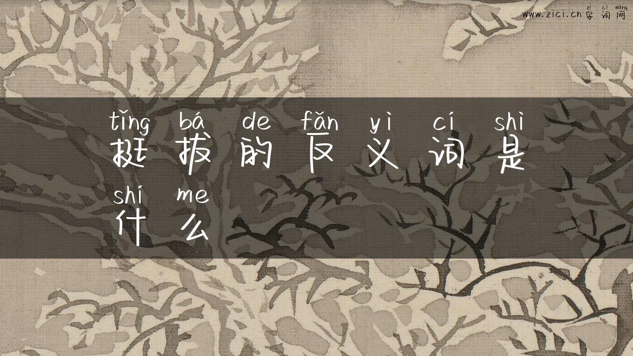 挺拔的反义词是什么