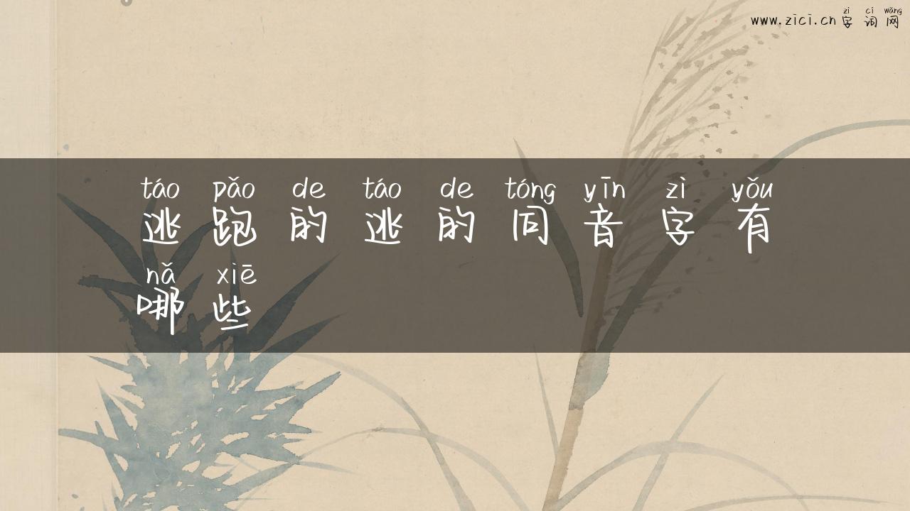 逃跑的逃的同音字有哪些
