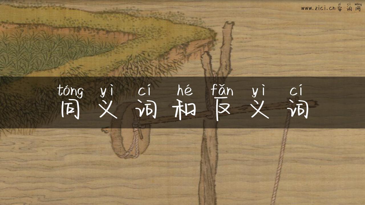 同义词和反义词
