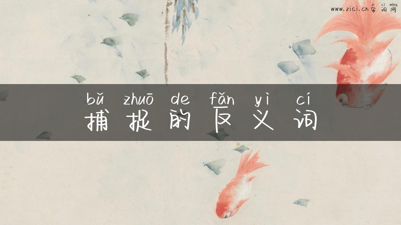 捕捉的反义词