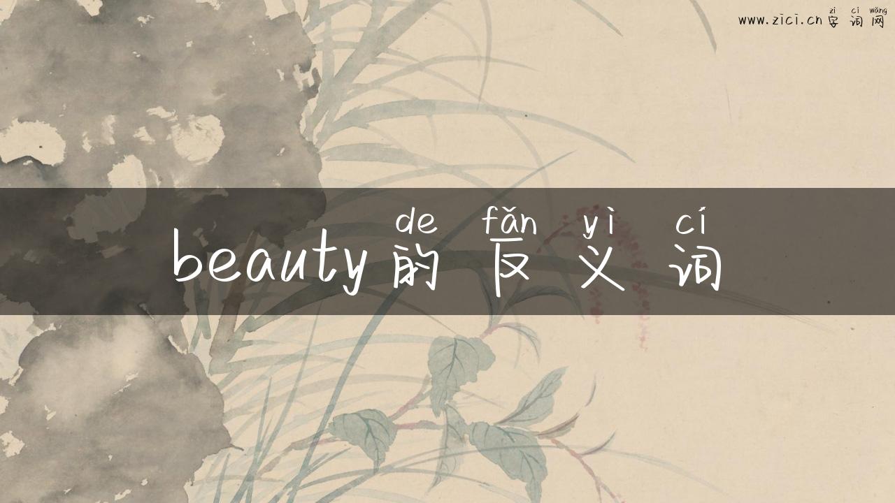 beauty的反义词