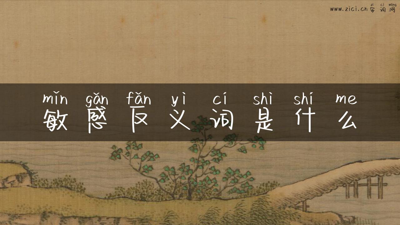 敏感反义词是什么