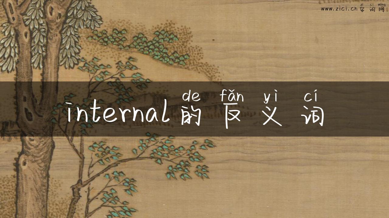 internal的反义词