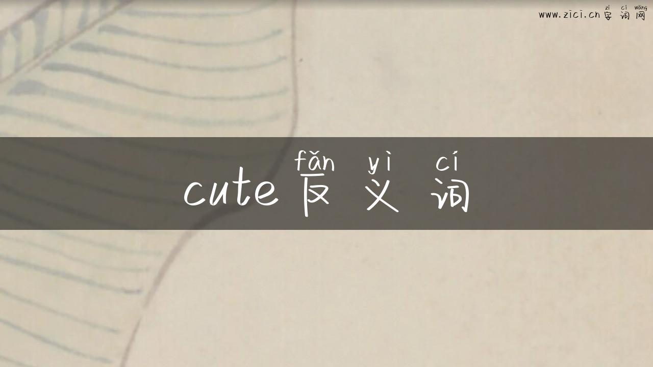 cute反义词